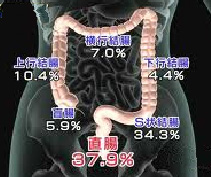 心臓病とは？？イメージ